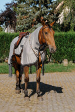 RIDING WORLD Anti-Fly Work Rug - Image 2