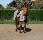 RIDING WORLD Anti-Fly Work Rug - Image 3