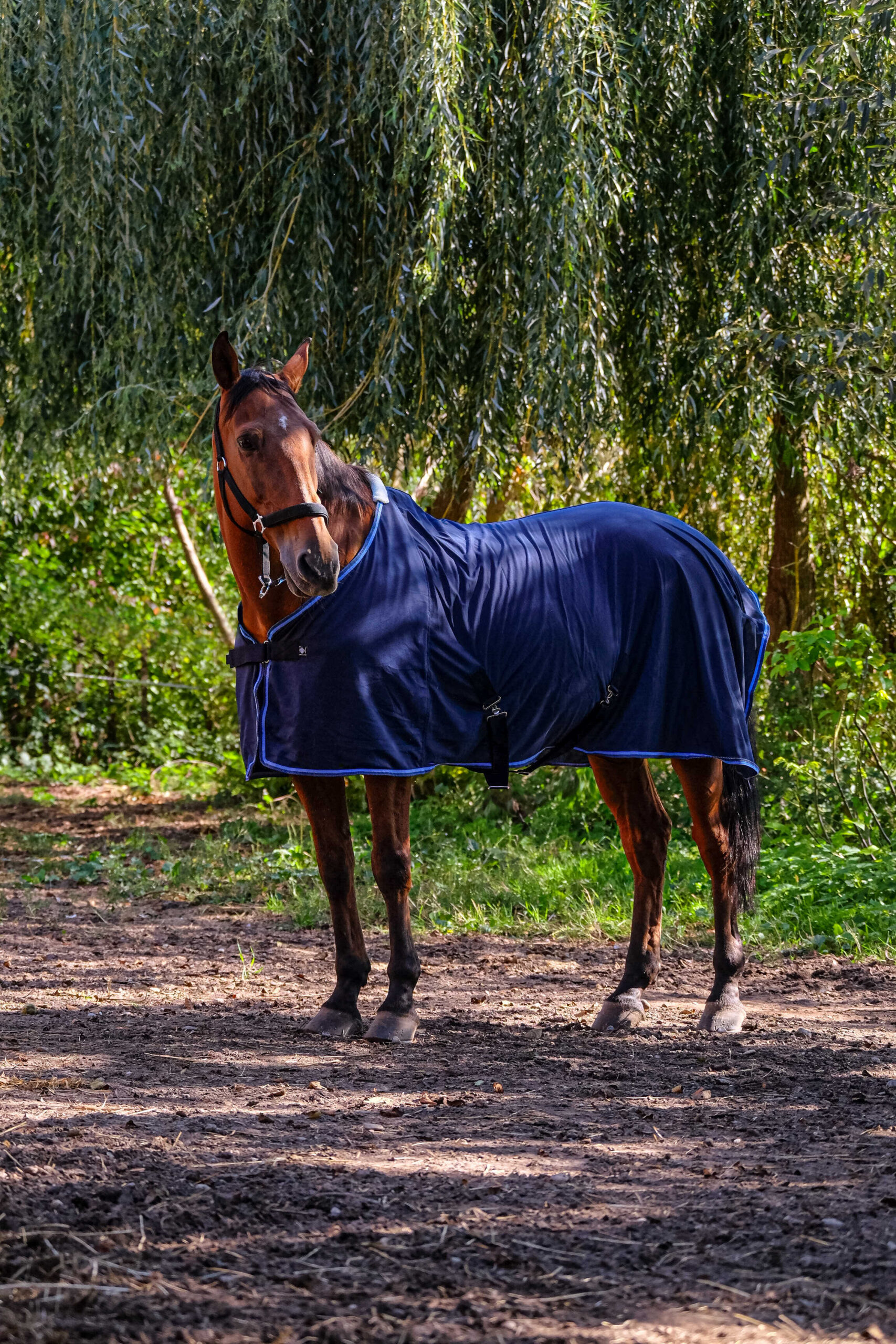 RIDING WORLD Blanket Fine Mesh Fabric