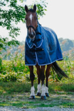 RIDING WORLD combo rain cover - Image 2