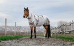 RIDING WORLD Anti-Eczema Blanket - Image 2