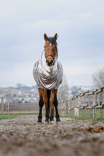 RIDING WORLD Anti-Eczema Blanket - Image 6