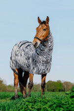 RIDING WORLD Zebra Anti-Eczema Blanket