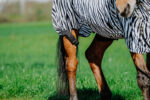 RIDING WORLD Zebra Anti-Eczema Blanket - Image 4