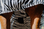 RIDING WORLD Zebra Anti-Eczema Blanket - Image 7