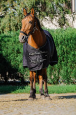 RIDING WORLD Stable Sheet SHINY - Image 2