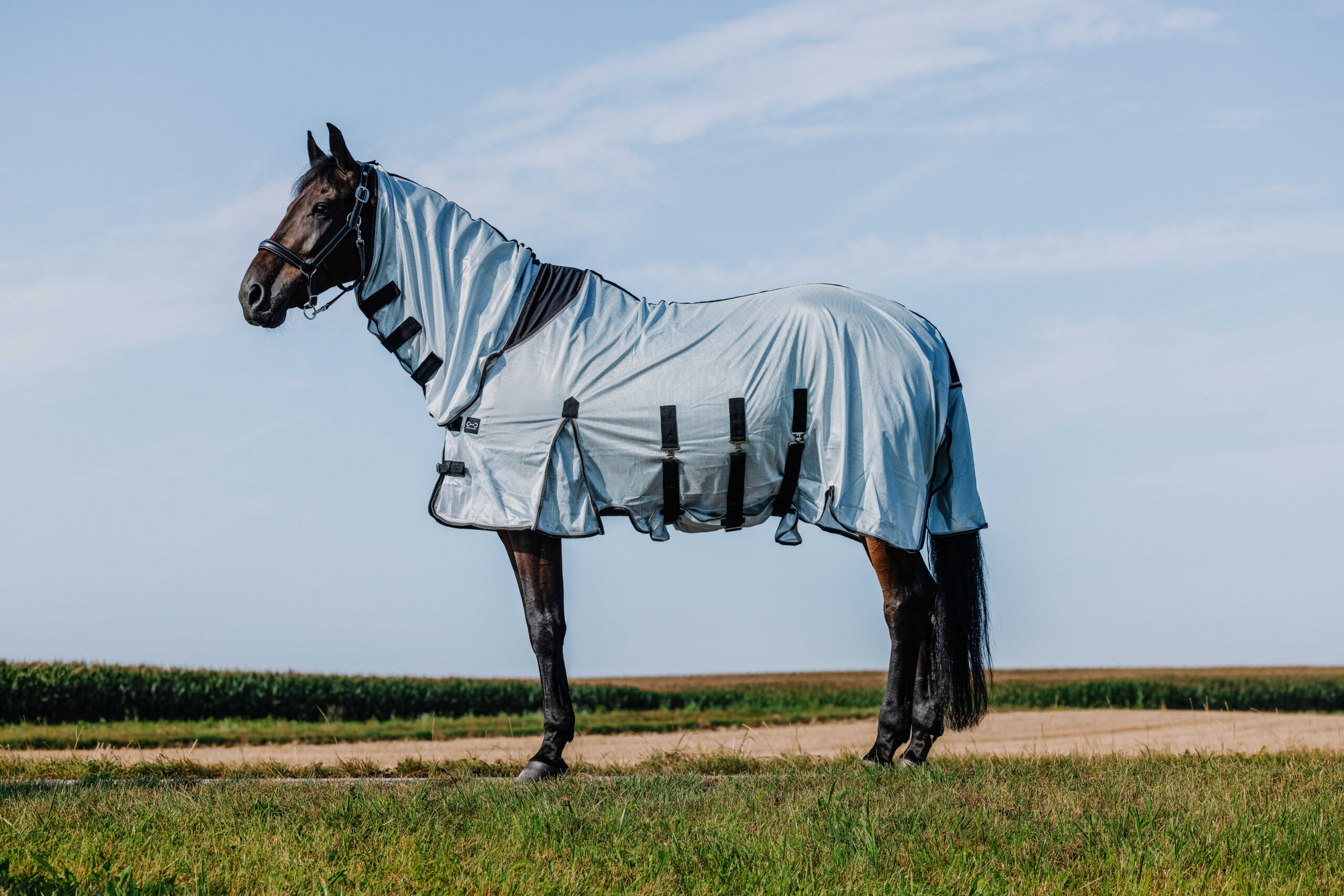 RIDING WORLD Decke – Belly Mesh – Combo