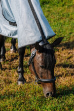 RIDING WORLD Decke – Belly Mesh – Combo - Image 4