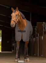 EQUITHÈME - Chiné - Polar Fleece Sheet - Image 2