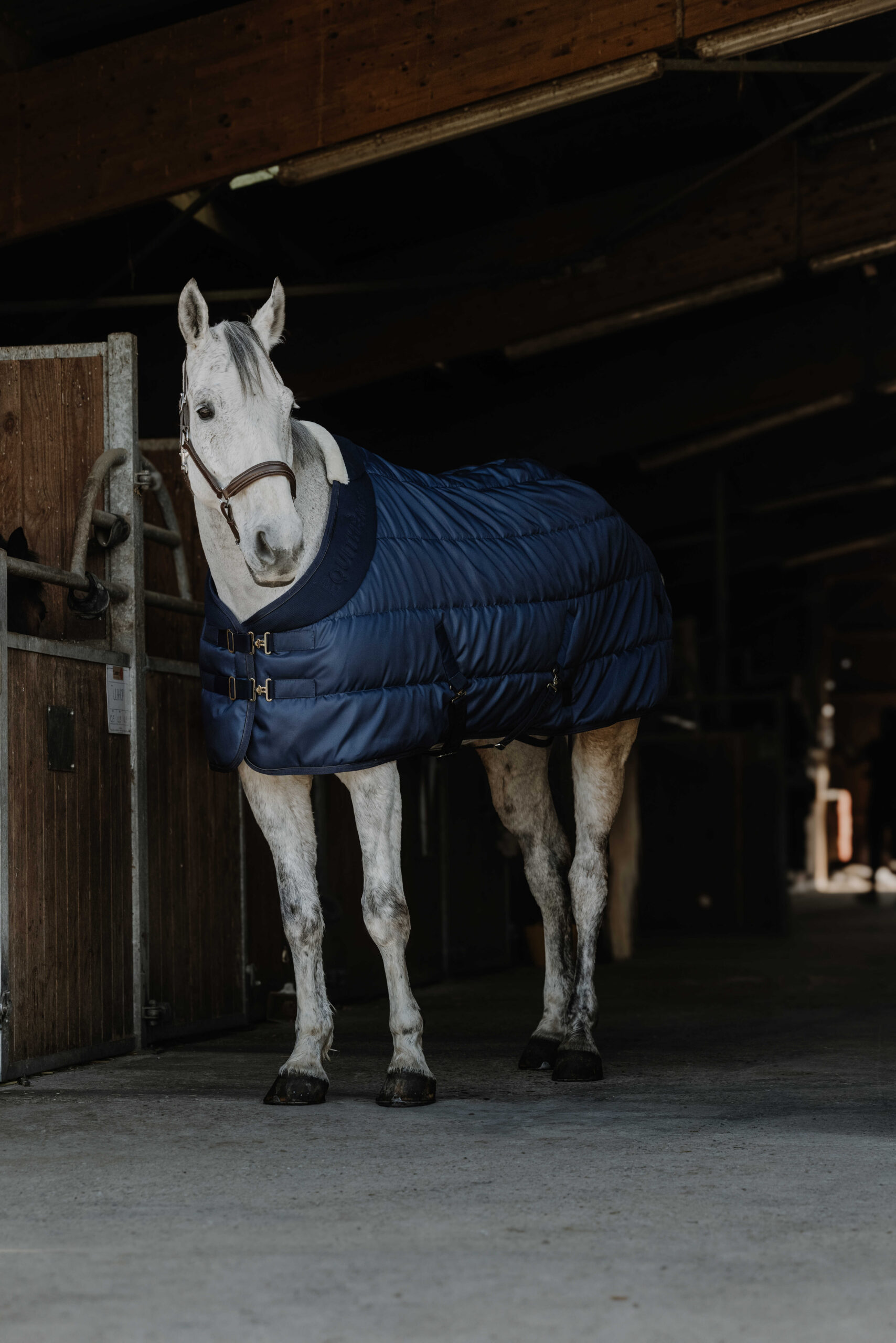 400744063_ambi_1 EQUITHÈME Stable rug - Confortech 200 gr. - Image 1