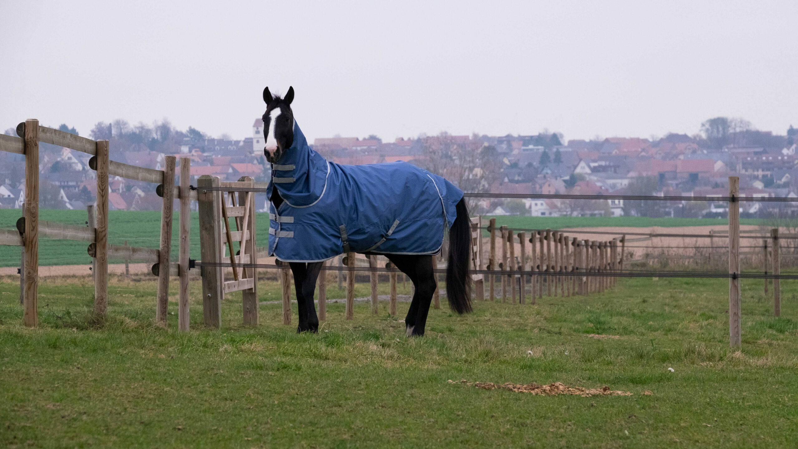 EQUITHÈME "TYREX 600D" Recycled Neck Piece