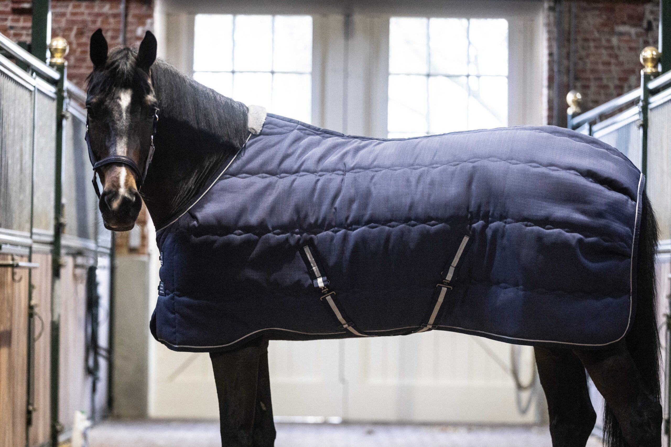 LAMI-CELL Stable Rug - Stable Master 240 gr.