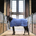 LAMI-CELL Stable Rug - Stable Master 240 gr. - Image 5