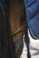 LAMI-CELL Stable Rug - Stable Master 240 gr. - Image 12