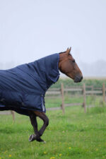 EQUITHEME - TYREX 1680D - Turnout Rug - Image 2