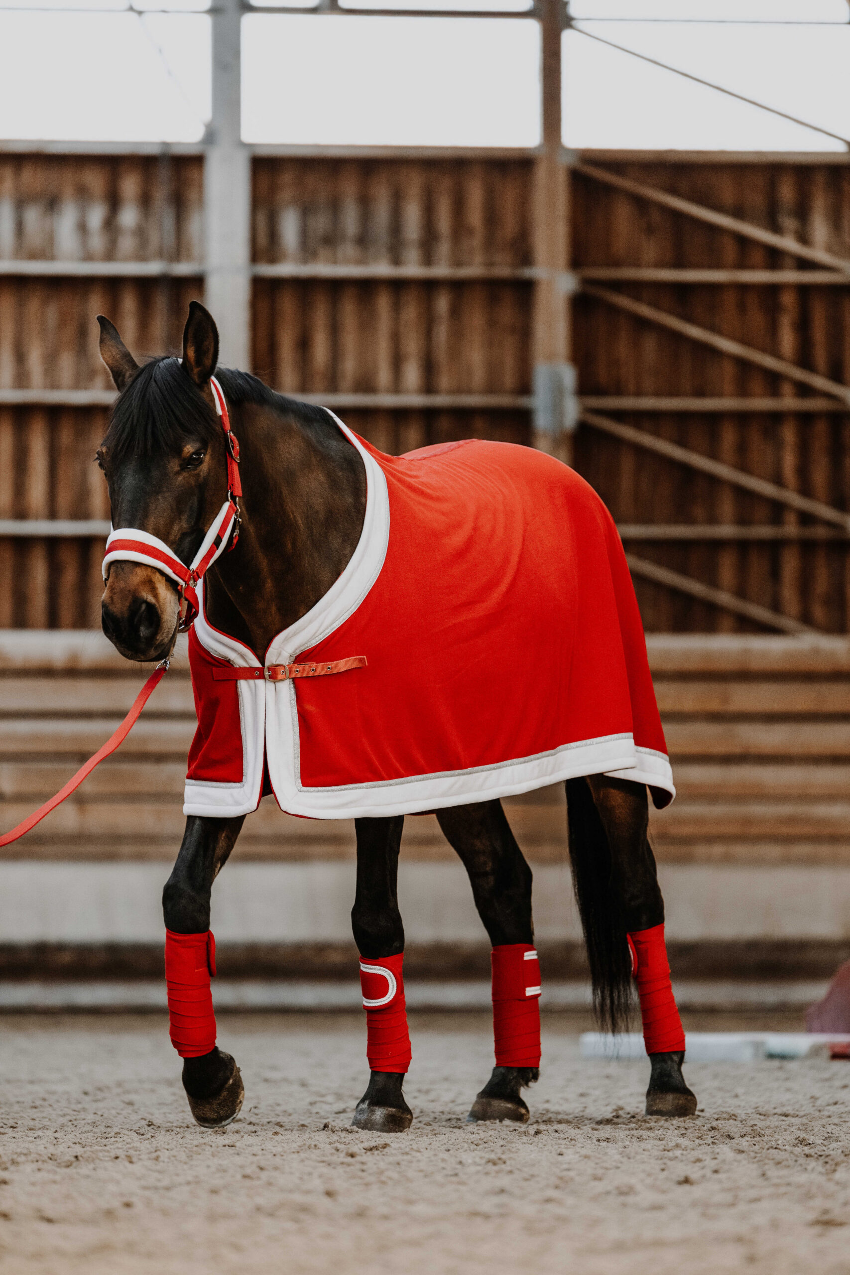 EQUITHÈME Fleece rug - Xmas