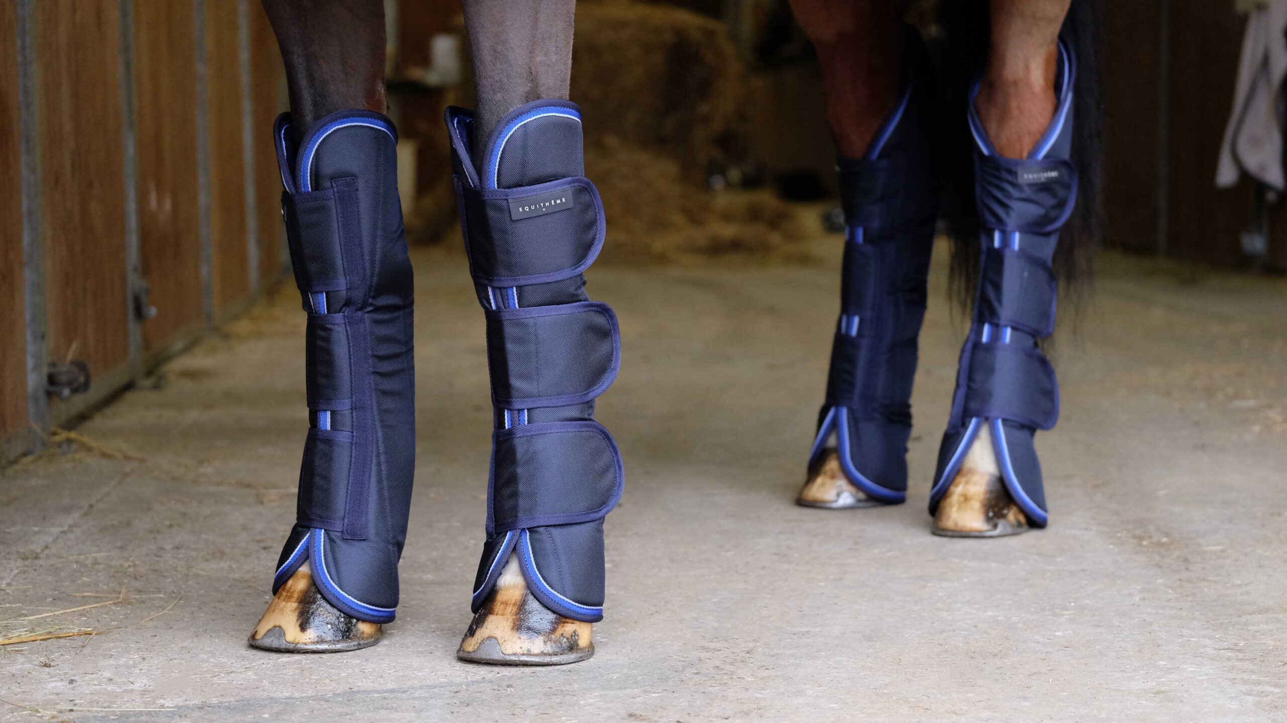 EQUITHEME Transportgamaschen - TYREX 1680D