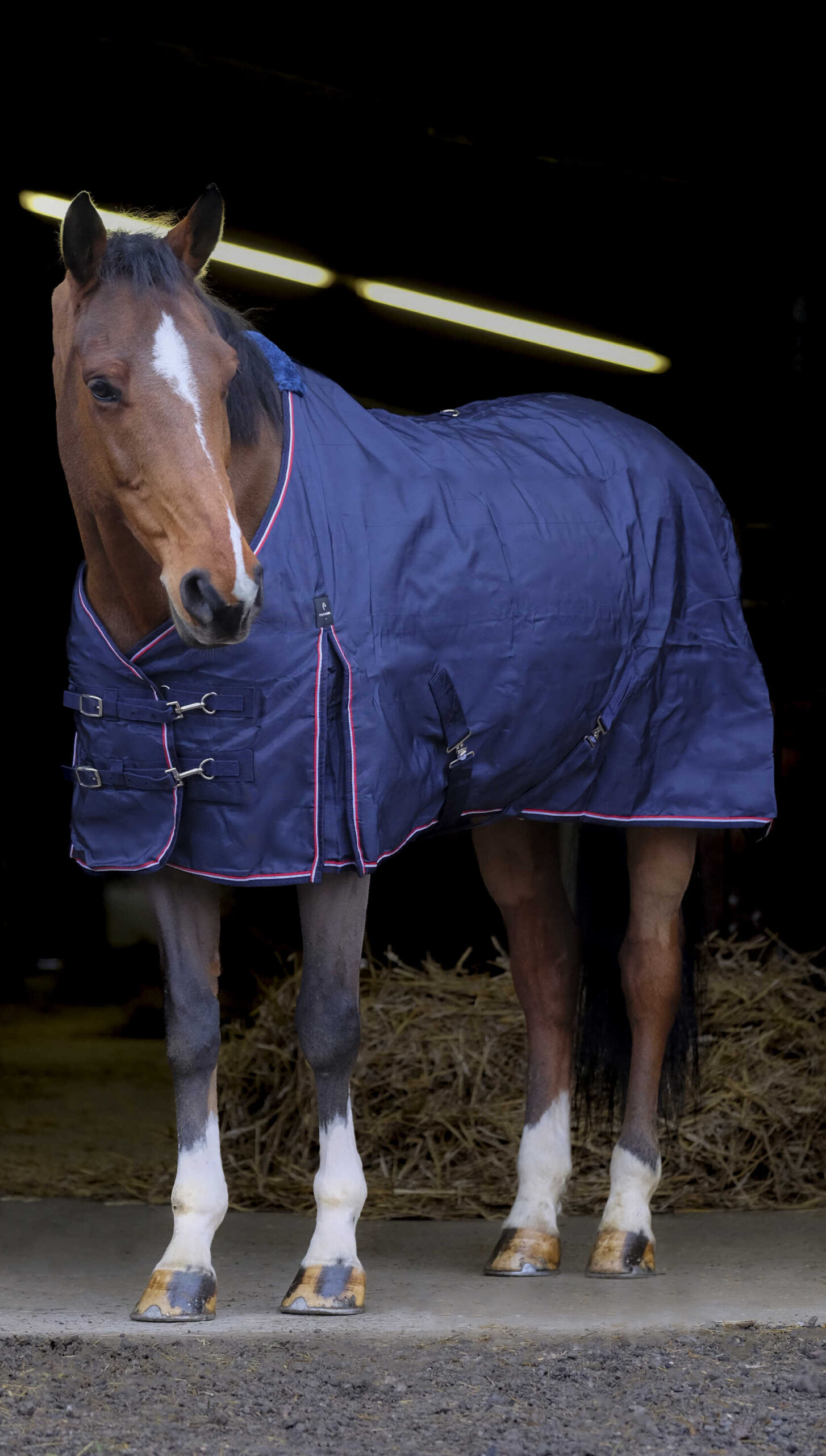EQUITHÈME - 840D - Stable Rug