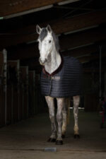 EQUITHÈME "Teddy" stable blanket, with synthetic lambskin lining - Image 2