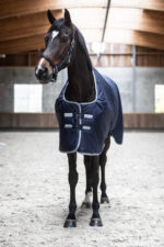 LAMI-CELL Turnout rug - Field Master - Image 4
