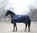 LAMI-CELL Turnout rug - Field Master - Image 5