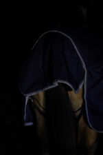 LAMI-CELL Turnout rug - Field Master - Image 8