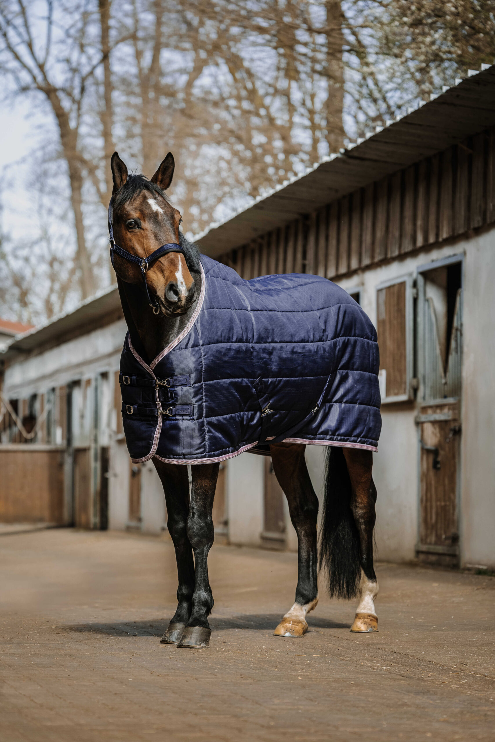 400883763_ambi_1 EQUITHÈME Stable Rug - Aztec - Image 1