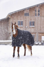 RIDING WORLD - Oxford - Waterproof Rug, lined with polar fleece