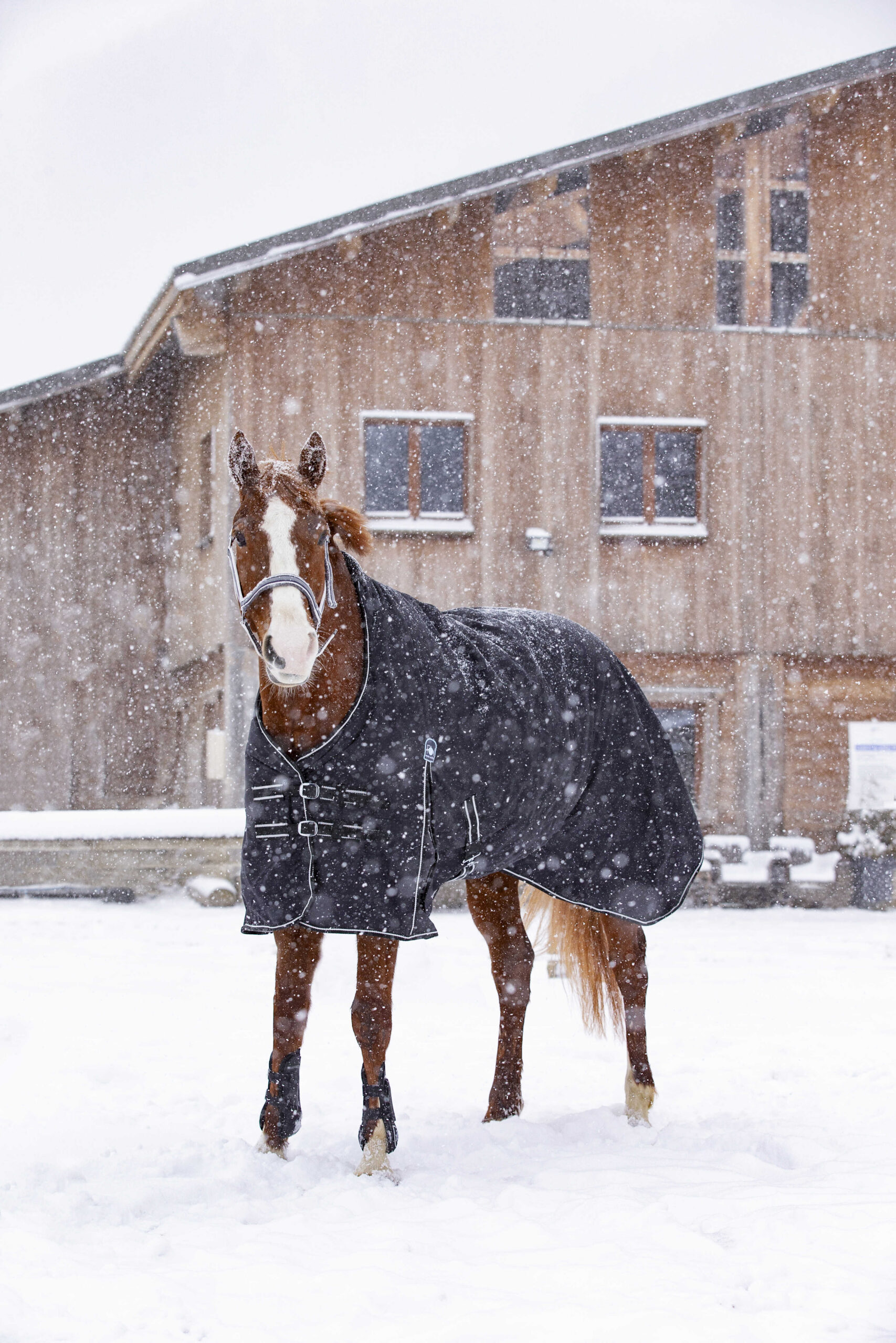 RIDING WORLD - Oxford - Waterproof Rug, lined with polar fleece