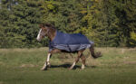 EQUITHÈME Blanket - TYREX 600D - Fleece lined