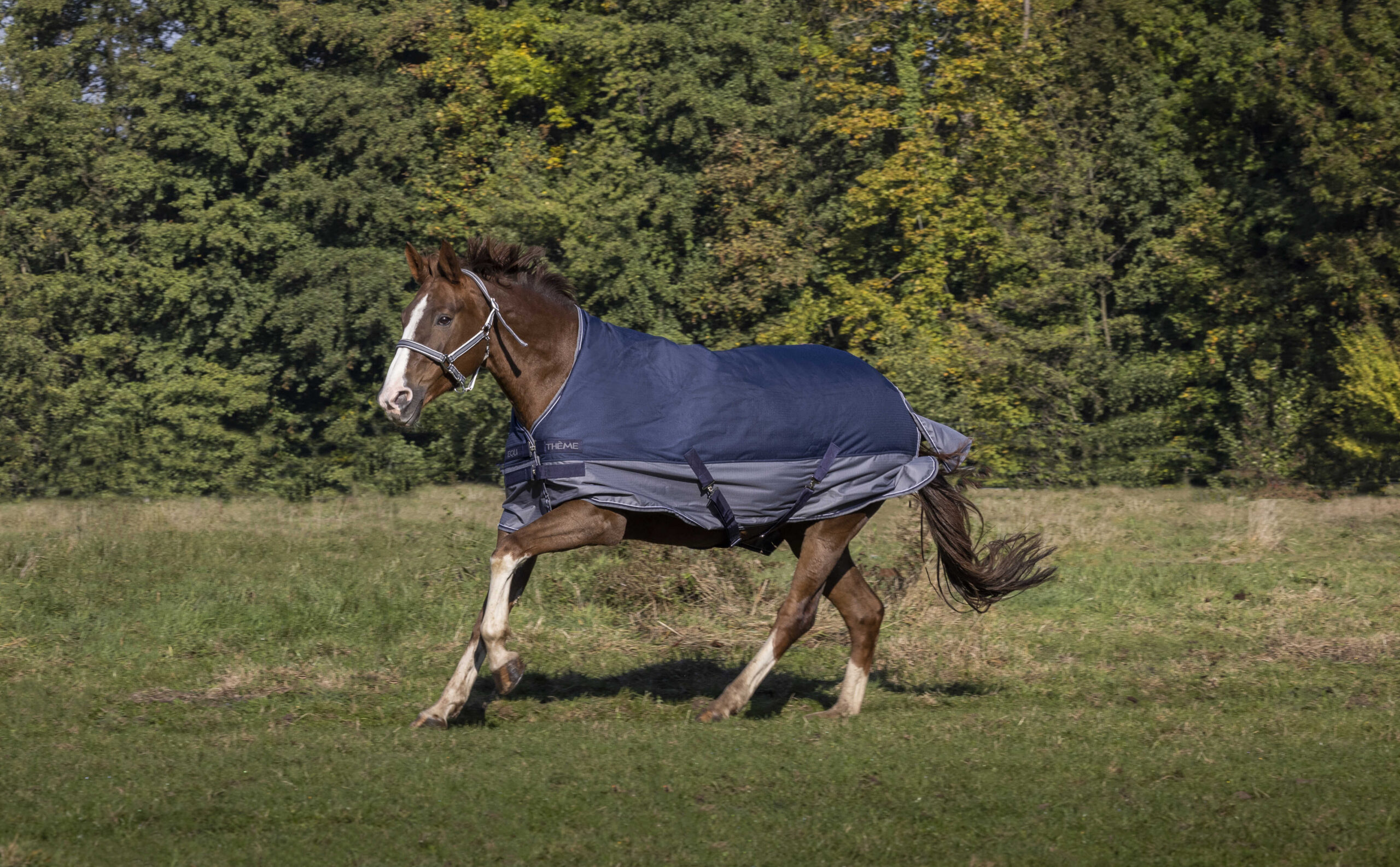 EQUITHÈME Blanket - TYREX 600D - Fleece lined
