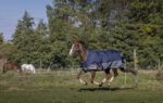 EQUITHÈME Blanket - TYREX 600D - Fleece lined - Image 2
