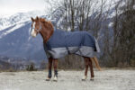 EQUITHÈME Blanket - TYREX 600D - Fleece lined - Image 3