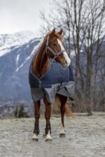 EQUITHÈME Blanket - TYREX 600D - Fleece lined - Image 4