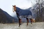 EQUITHÈME Blanket - TYREX 600D - Fleece lined - Image 6
