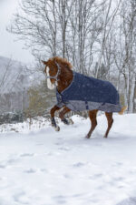 EQUITHÈME Blanket - TYREX 600D - Fleece lined - Image 8