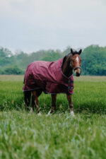 EQUITHÈME Decke - TYREX 1200D - High Neck