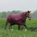 EQUITHÈME - TYREX 1200D - Combo Rug