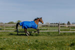 EQUITHÈME - TYREX Aisance 1200D - Turnout Rug