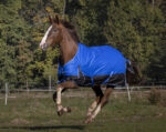 EQUITHÈME - TYREX Aisance 1200D - Turnout Rug - Image 5