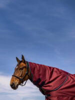 EQUITHÈME Neck Protector - TYREX 1200D - Image 2