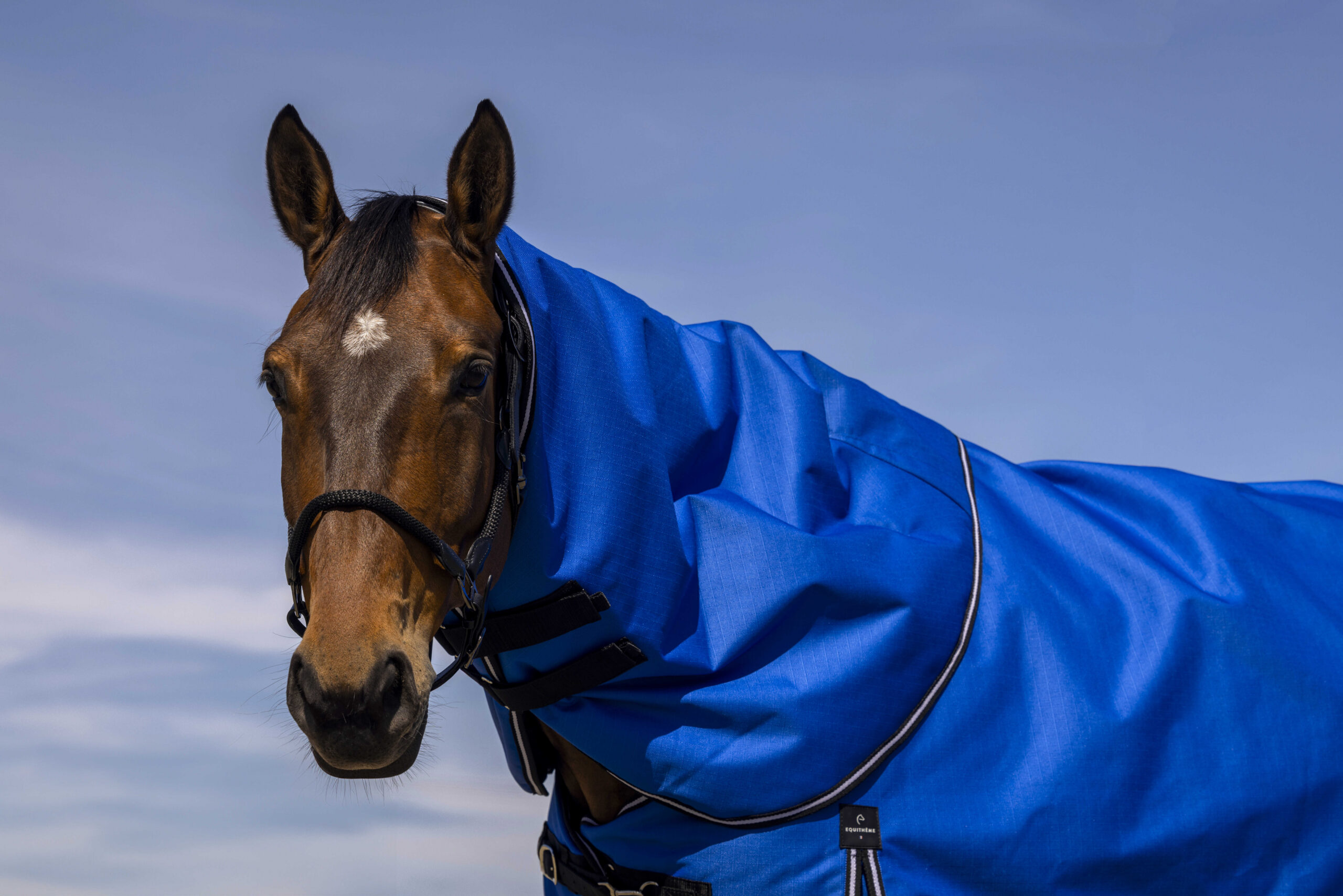 EQUITHÈME Neck Protector - TYREX Aisance 1200D