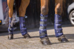 RIDING WORLD Low transport boots - Image 9