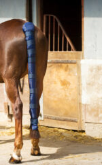 NORTON Tail Protector – Long