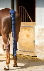 NORTON Tail Protector – Long - Image 2