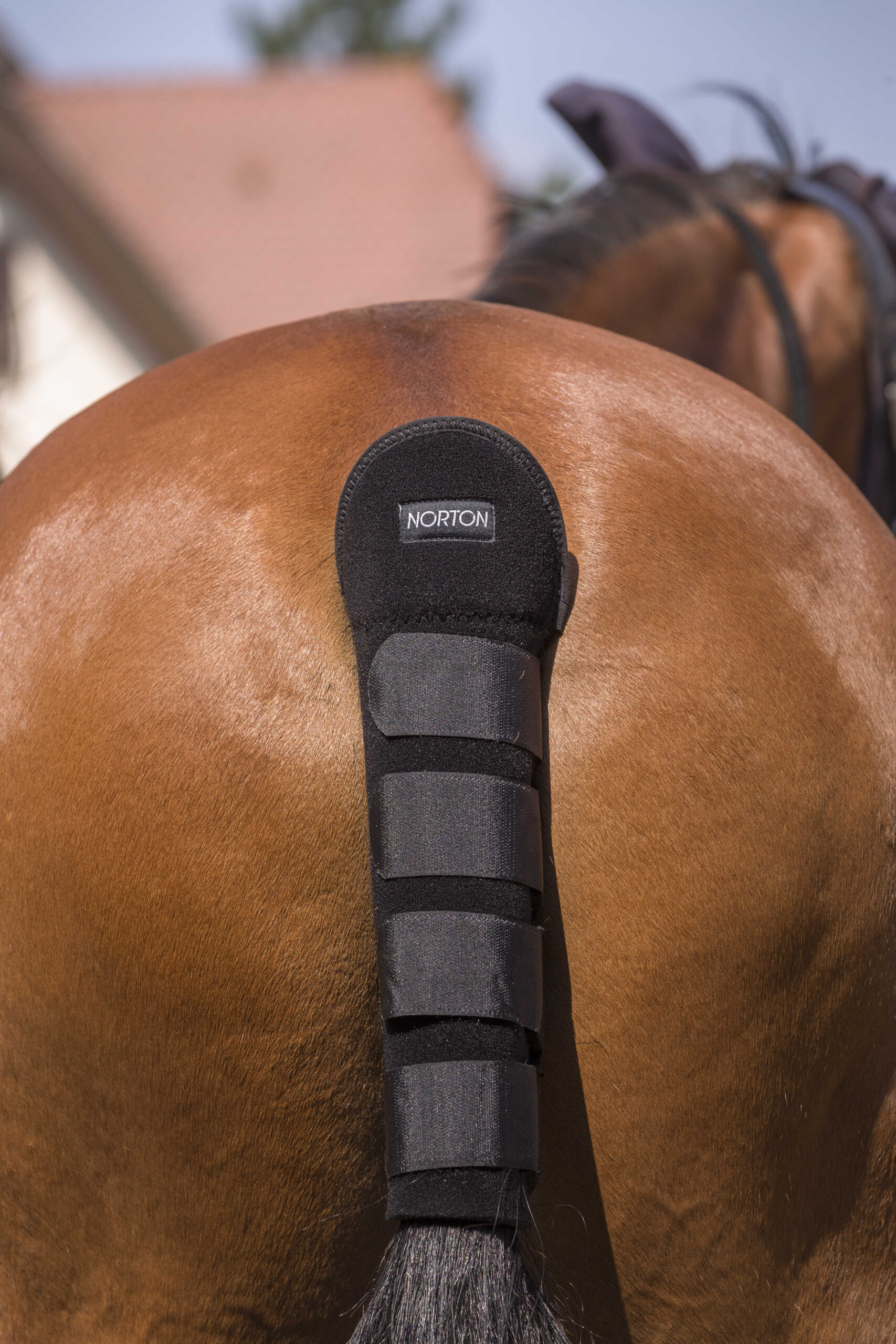 NORTON Tail Guard – High Protection