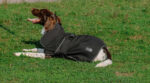 EQUITHÈME - Softshell - Hundedecke - Image 6