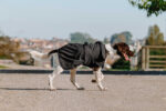 EQUITHÈME - Softshell - Hundedecke - Image 10