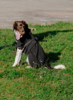 EQUITHÈME - Softshell - Hundedecke - Image 12