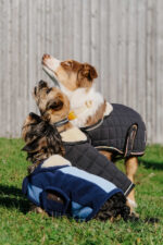 I love you EQUITHÈME Hundedecke - Image 17